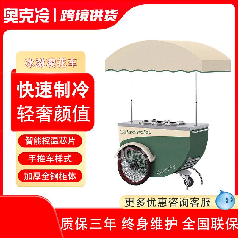 冰淇淋售卖车冷冻展示冰柜商用gelato雪糕冰激凌花车