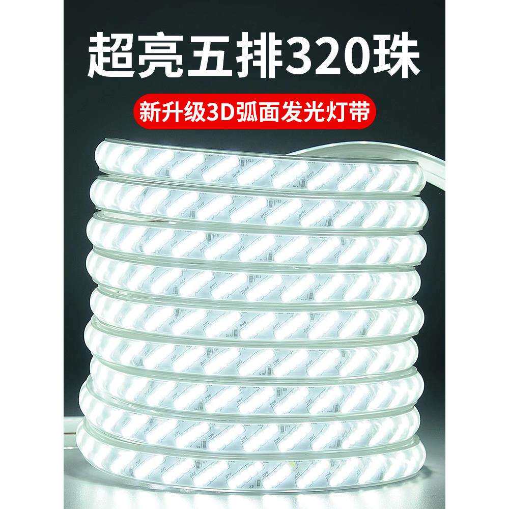 LED灯带220v户外防水地下室隧道工地亮化装饰照明白光灯条24V36V