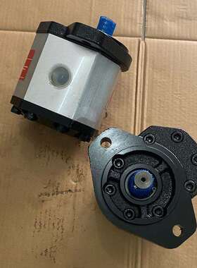 BHP3AOD46C2L2齿轮马达