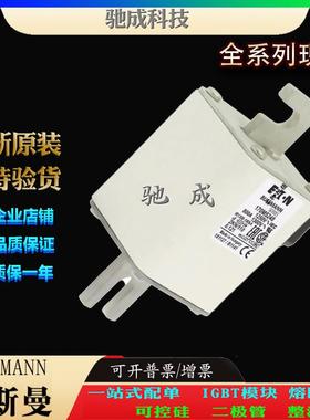 巴斯曼170M5248 170M5249 170M5250 现货直销销售价优 高速熔断器