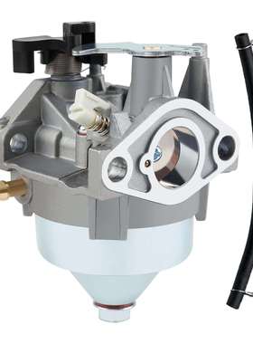 16100-Z9L-811 化油器 适用Honda GCV170 HRN216VKA HRN216草坪机