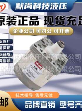 法国HPI齿轮泵P2BAN2512/2515/2518/2522/2620/2625/2627液压油泵