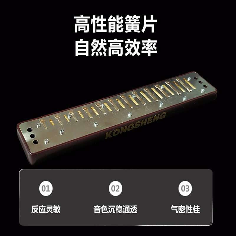 孔声24孔复音重音口琴NO.2420小调特殊调12调齐全演奏练习口琴图片
