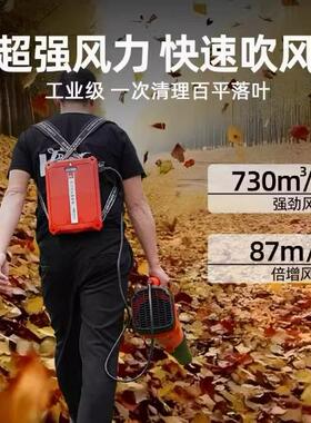 凯姿KZ950L锂电吹风机 电动鼓风机 40V吹雪机吹尘机 手提式吹叶机