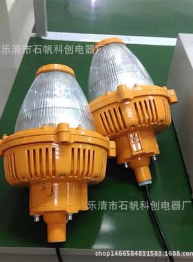 BPC8760-45W LED防爆平台灯 BLED9112免维护LE防爆平台灯.