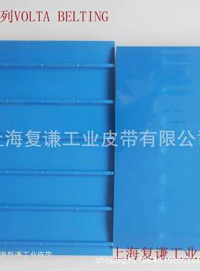 食品级易洁带耐油输送带Volta输送带防霉菌输送带提升机输送带