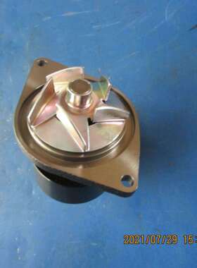 供应徐工装载机发动机配件水泵(东康B5.9-C185)C4935793