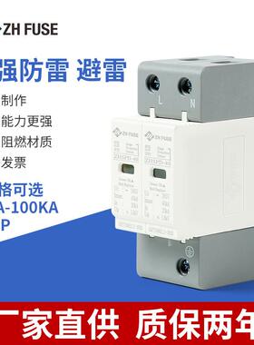 单相电源防雷器2P20/40/60KA机房家用220V避雷浪涌保护器
