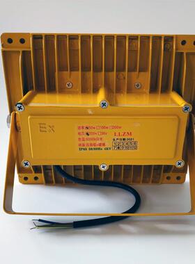 LED隧道黄色灯50w100w200w400w台车投光灯220v照明双头低压 AC36v