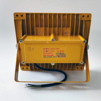 LED隧道黄色灯50w100w200w400w台车投光灯220v照明双头低压 AC36v