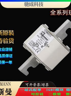 巴斯曼170M4312 170M4313 170M4314 厂价直销优价供应 方体熔断器