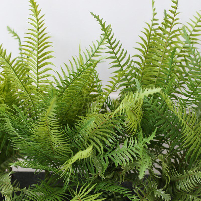 新品蕨类花槽植物装饰仿r真绿植垂吊插花成品餐厅窗台Y隔断布置摆
