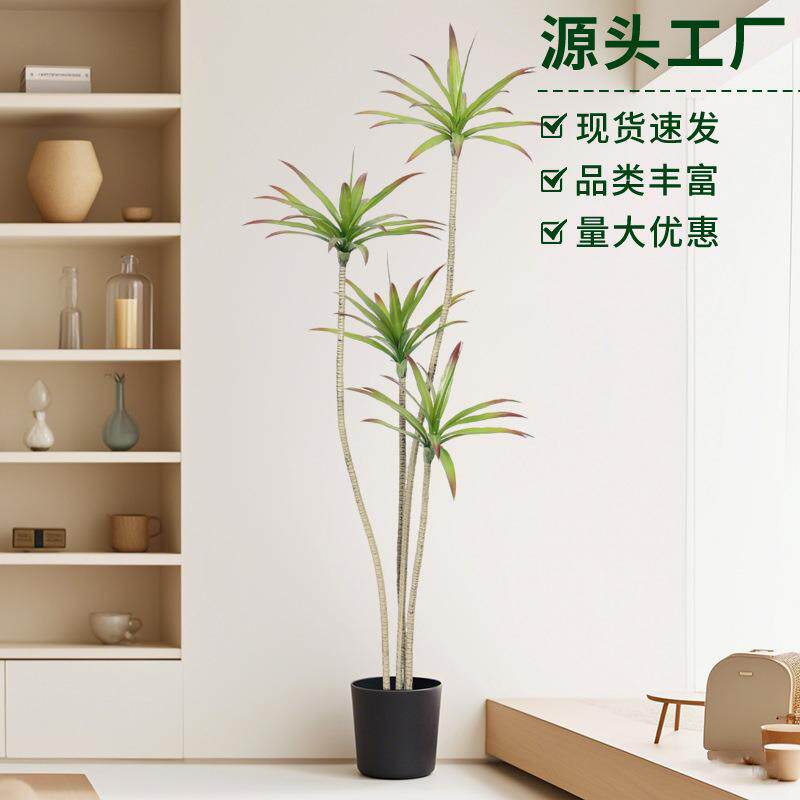 工厂直销仿真龙舌兰龙血树户外造景仿真绿植盆栽装饰沙生植物