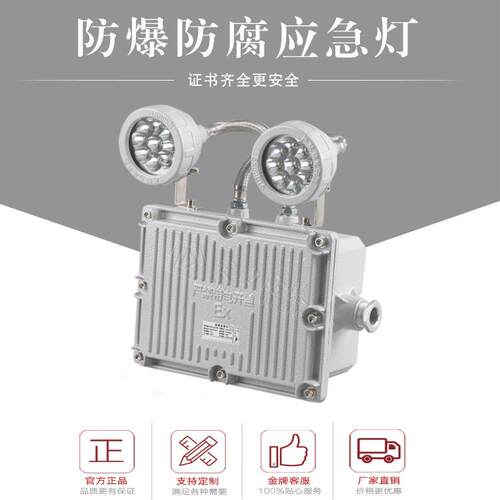 厂家LED双头防爆应急灯12V24V2×5W2×10W应急90分120分180分