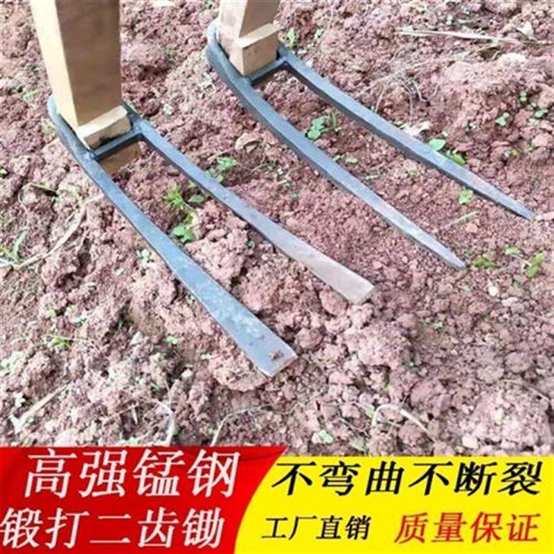 锄地锄头农村 锰钢锄头 农v用锻打全钢锄头开荒锄头二齿锄园艺用