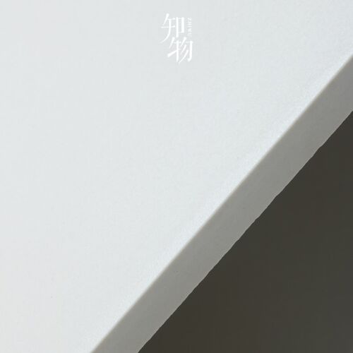 素色奶油白色通体砖80客厅地砖厨房卫生间墙砖亮哑光磨砂600 1200