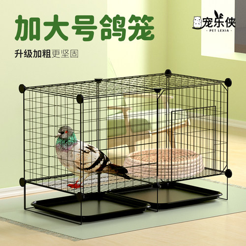 包邮加粗鸽子笼子鸽子用品用具鸽子E笼大号鸡笼家用鸽子养殖笼子