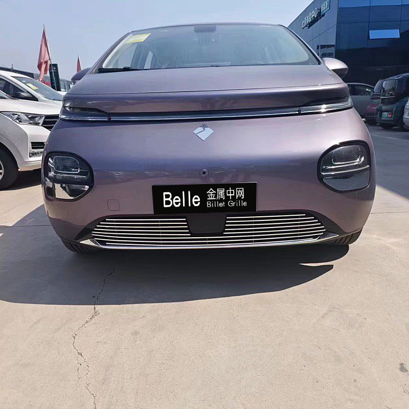 五菱宝骏云朵改装件装饰中网前脸升级外观防虫网车贴亮条配件