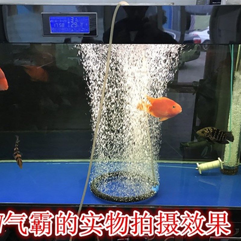 气柱气泡石曝气盘 气泡条砂头散气条 圆柱橡橡胶气石曝气圈