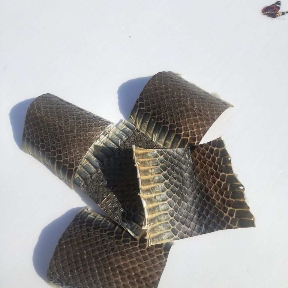 现货速发配件乌稍皮中段单块蛇皮京胡四胡蒙皮材料京胡四胡胡琴配