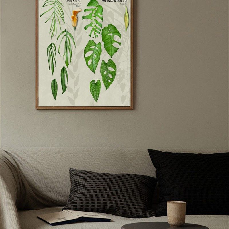 观叶植物图谱挂画家居绿植角落装饰画客厅沙发背景墙画花店花卉画