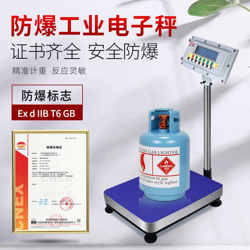 隔爆型化工专用防爆电子秤防爆称重仪表显示器电子秤小地磅隔爆