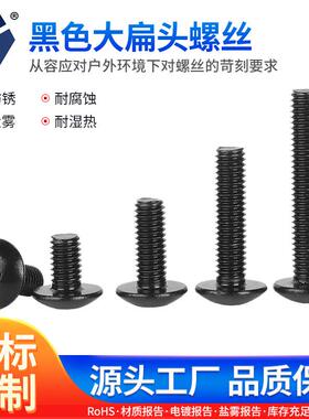 TM3x4→3x12黑色大扁头螺丝 304不锈钢高盐雾螺丝 防锈达克罗螺丝