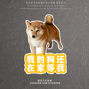 柴犬汽车贴纸装饰贴我的狗还在家等我创意文字反光贴车窗玻璃装饰