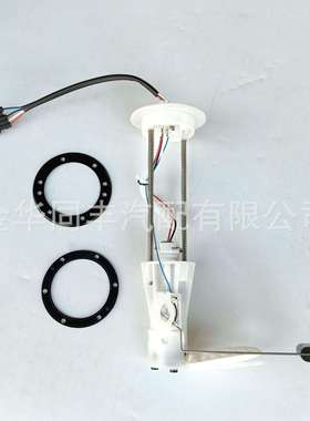 跨境适用EFI,UTV,800,1000,ODES,油泵总成10904080001闪电发货