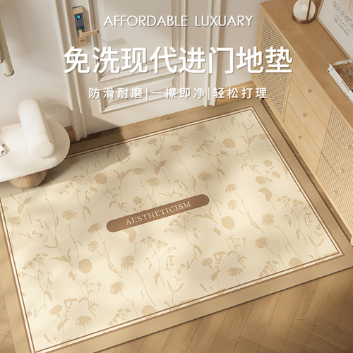 入户门地垫pvc可擦免洗进门门垫门口脚垫奶N油风简约耐脏地毯家用