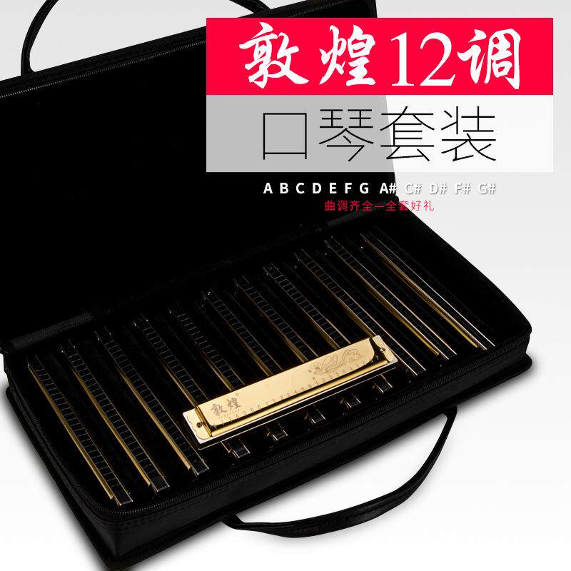 敦煌口琴 复音C调演奏口琴12调别套装口琴ABDEFGC#D#F#G#A#调