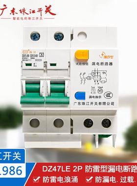 珠江开关 DZ47LE 2P 6-63A 断路器 防雷浪涌保护器 漏电空气开关