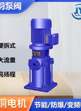 65LG36-20X6立式多级离心泵 高层建筑给水多级泵 多级管道增压泵