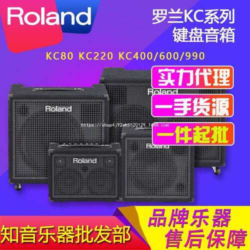 ROLAND罗兰KC220 KC400 KC600 KC990 电鼓吉他键盘合成可