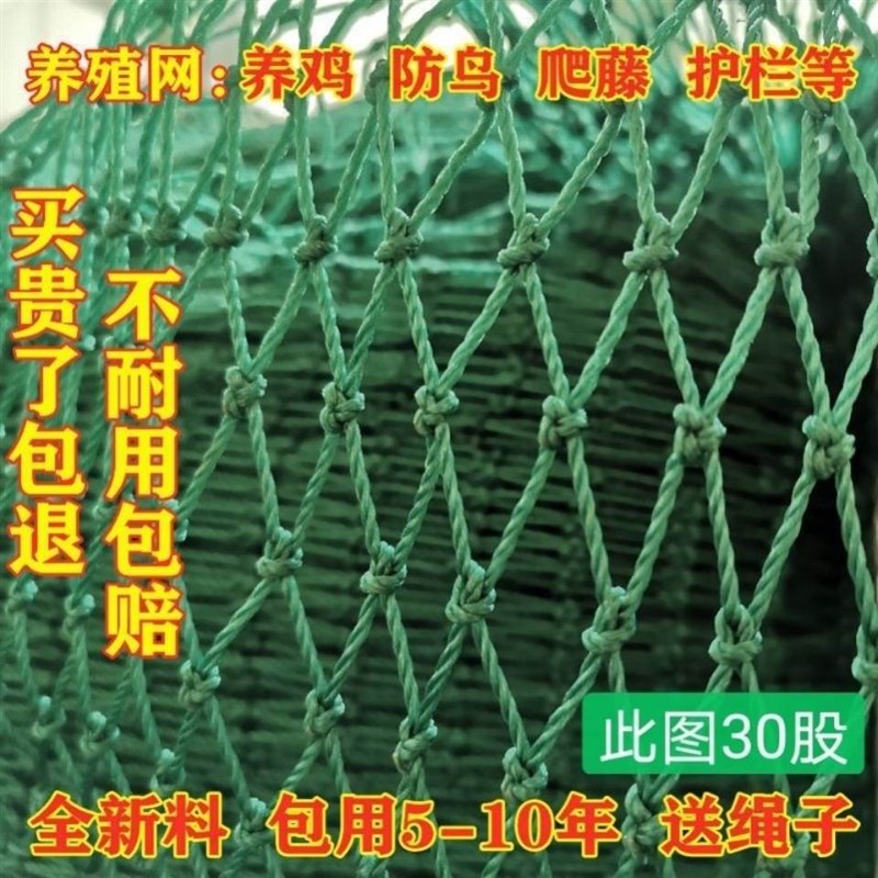 养鸡专用网塑f料网格防护网小孔鸡圈围栏网农村拦鸡鸭围栏网尼龙