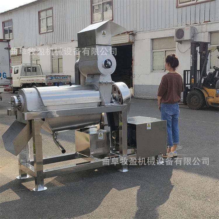 工业水果螺旋榨汁机 大型菠萝凤梨破碎榨汁机 杨梅樱桃去核打浆机