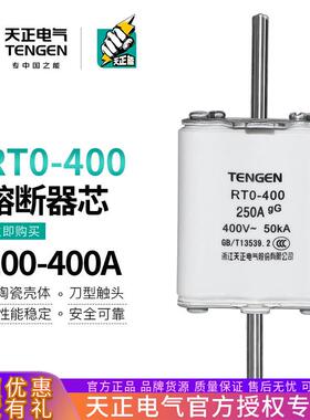 TENGEN天正电气 RTO-400插入式熔断器RT0-400熔芯保险丝250A 400A