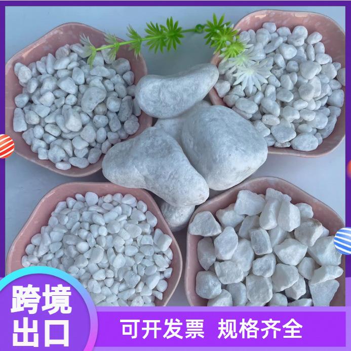 跨境天然白石子景观铺路鹅卵石鱼缸多肉盆栽铺面装饰白色大小石头