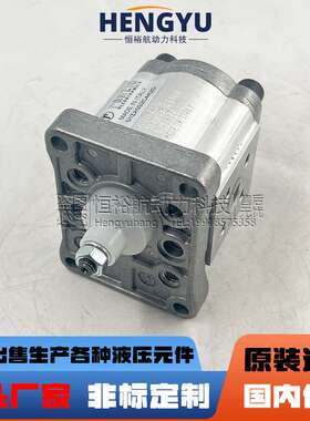 罗茨液压泵RONZIO齿轮泵01ZA032C442D 01ZAG16C401D 01ZA021C406D