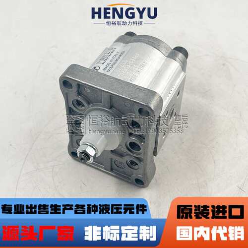 罗茨液压泵RONZIO齿轮泵01ZA032C442D 01ZAG16C401D 01ZA021C406D
