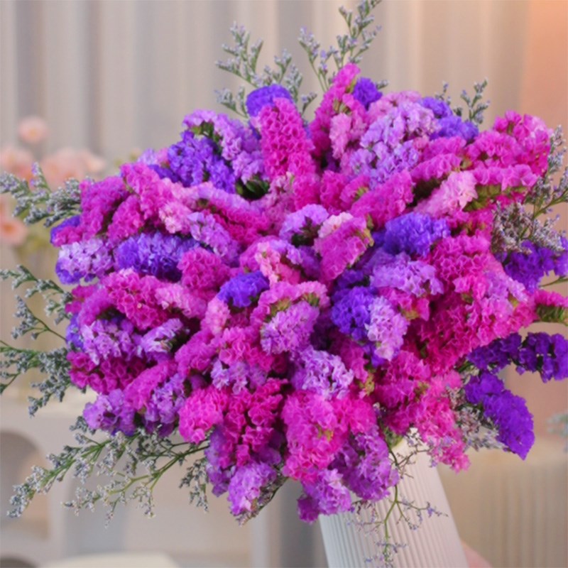 【赠花瓶】云南昆明p直发勿忘我自然干花花束鲜花真花插礼物