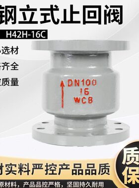 止回阀21640立式25逆止阀法兰H48铸010单向阀C HC0钢CDN50 - 150