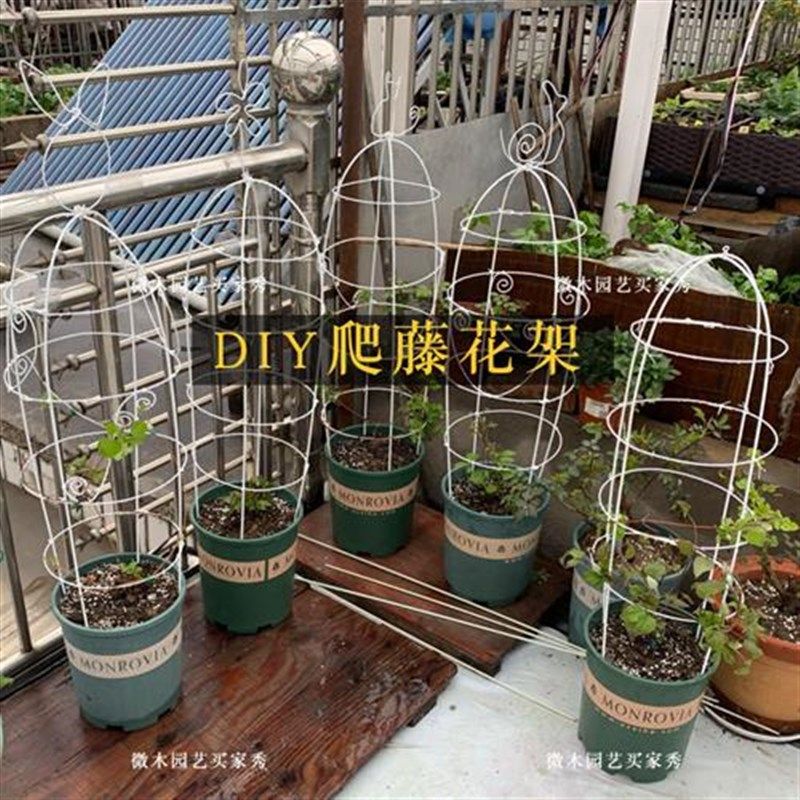 园艺包塑铁丝DIY铁线莲支架植物攀爬架盆栽造型爬藤花架直花杆