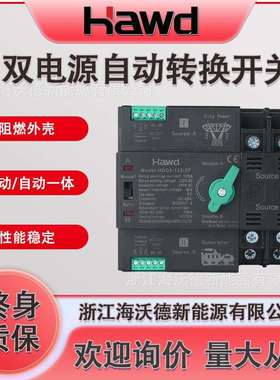 双电源自动转换开关2P230V 4P 400V125Apc级家用不断电自动切换器