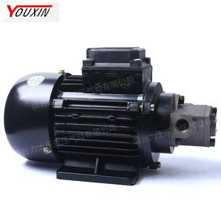 南京哈德摆线泵组H3725 润滑泵组BRB系列泵组