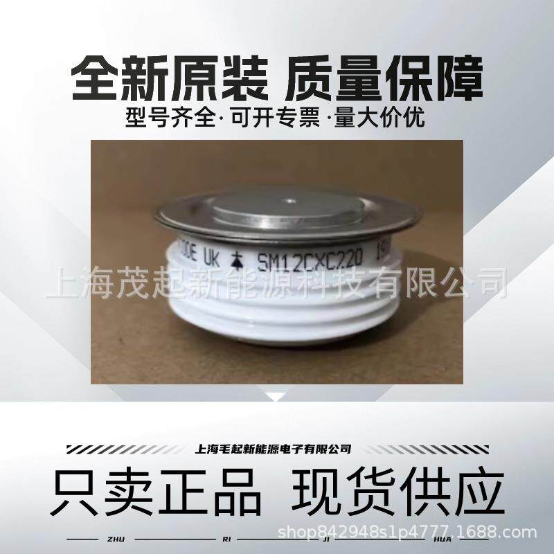 SW02CXC19C SW06CXC19C SW06CXC400 SW20CXC820 西码整流二极管