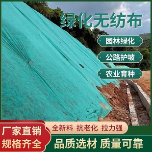 园林绿化无纺布绿色透气膜工地草坪防尘盖土边坡护坡植草籽覆盖膜