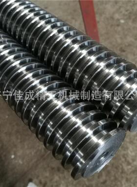 厂家直销梯形丝杆加工机床精密调节升降传动正反牙丝杠Tr40螺距12