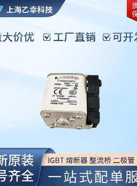 巴斯曼熔断器 170M3767 170M3768 170M3769 170M3770 170M3771