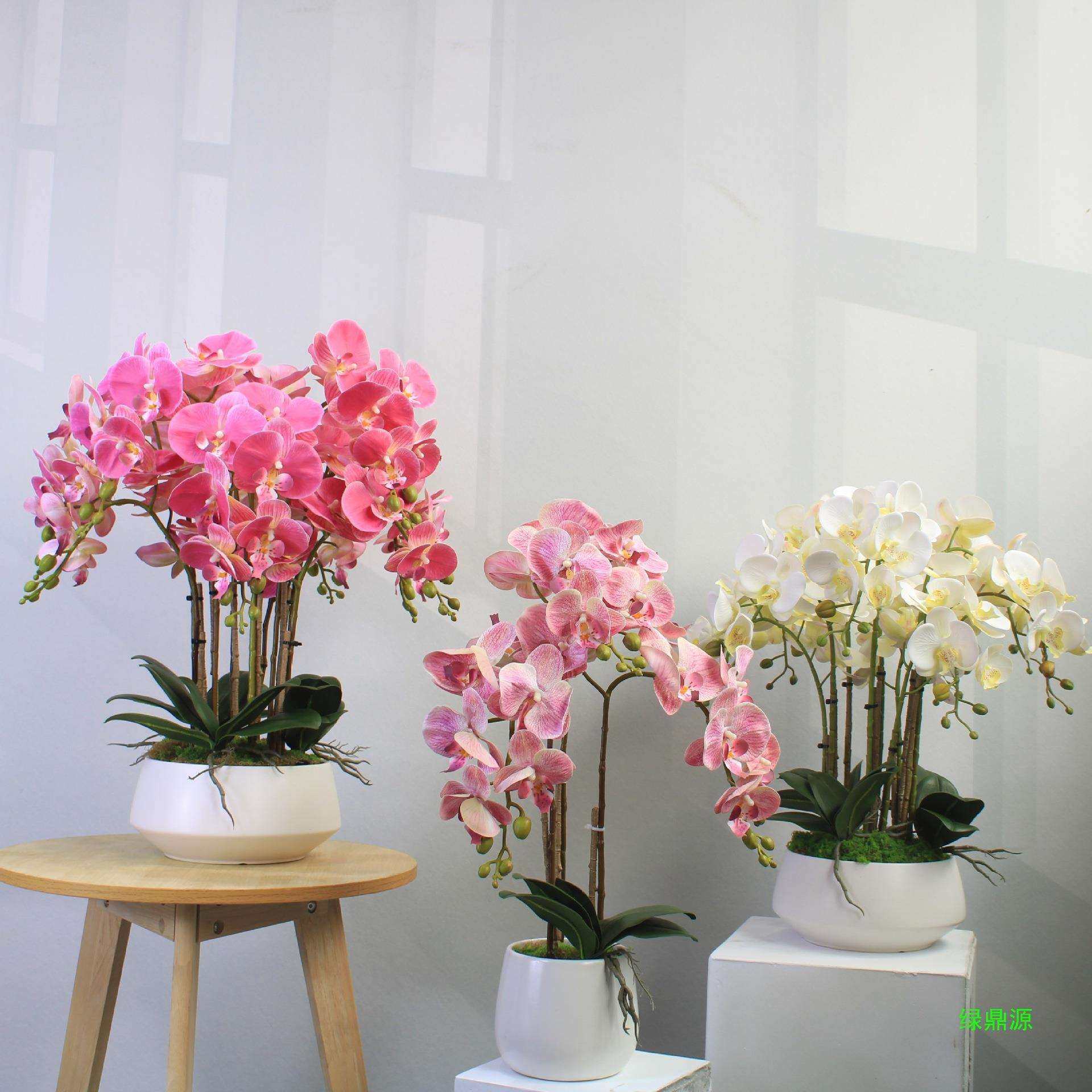 假花蝴蝶兰客厅电视柜摆件酒店打印轻奢装饰前台桌面铺,农机/农具/农膜,其它农用工具,淘宝优惠券,粉丝福利购,淘宝优惠卷